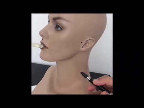MODELOS GNATOSTÁTICOS - VIDEO AULA 1
